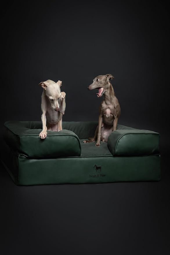 NOAH & PAW Large Dog Bed, 35x25x11 Inch, Orthopedic Dog Beds, Eggshell Memory Foam Infused with Cooling Gel, Inner Cover, Water Resistant, Machine Washable (Faux Leather)