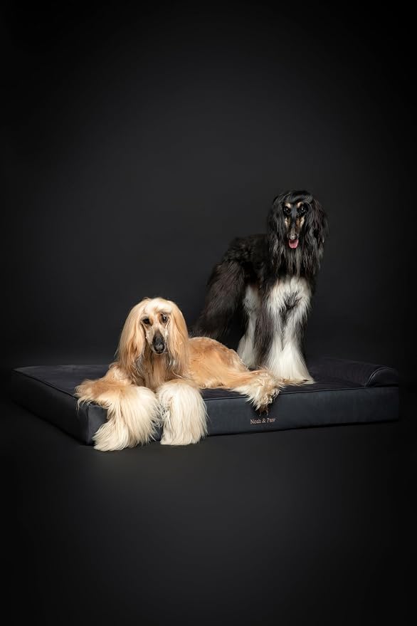 NOAH & PAW Giant Dog Bed XXL 55x45x9.5 Inch, Orthopedic Dog Beds, Eggshell Memory Foam Infused with Cooling Gel, Water Resistant, Machine Washable, Includes Inner Cover (Faux Leather)