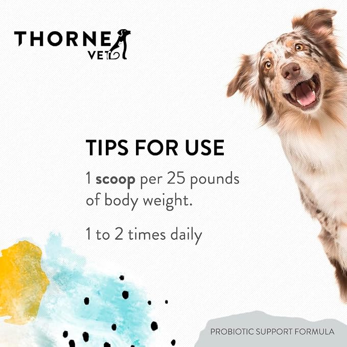 ThorneVET Probiotic Support Formula – Gastrointestinal Support for Dogs, Cats & Horses, Powder