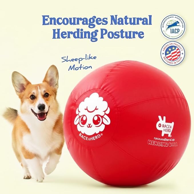 Race&Herd 18" Original XXL Herding Ball for Dogs - Herding Toys, Giant Dog Ball for Australian Shepherds, Border Collies - Durable Dog Outdoor Training Toy for Small Breeds (Cherry)