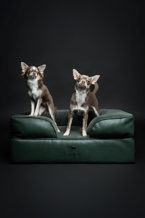 NOAH & PAW Dog Bed, 28x23x11 Inch, Orthopedic Dog Beds for Medium Size Pets, Eggshell Memory Foam Infused with Cooling Gel, Inner Cover, Water Resistant, Machine Washable (Faux Leather)