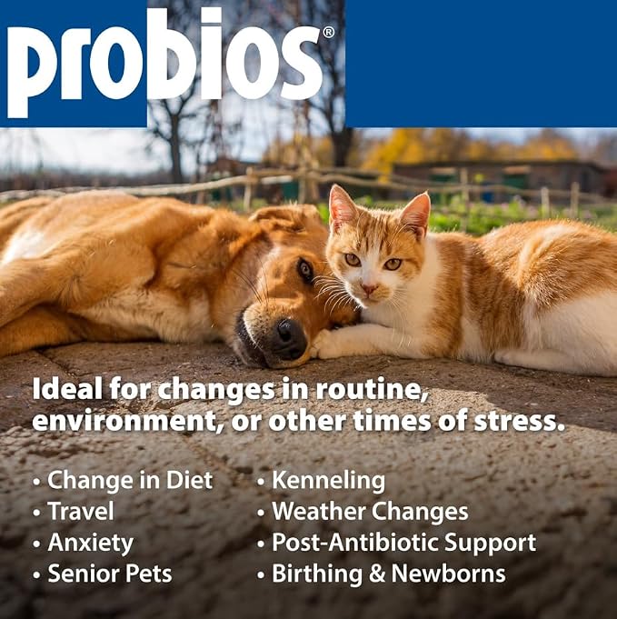 Probios for Dogs Soft Chews, Daily Probiotic Supplement for Gut Health, Digestion and Immune Support Medium and Large Breeds, Chicken Liver Flavor, 8.46oz 60 Chews