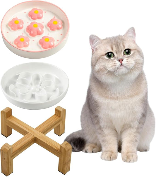 Slow Feeder Cat Bowl Set - Ceramic Raised Bowl with Bamboo Stand and Melamine Food Dish - Elevated, Anti-Vomiting, Interactive Maze