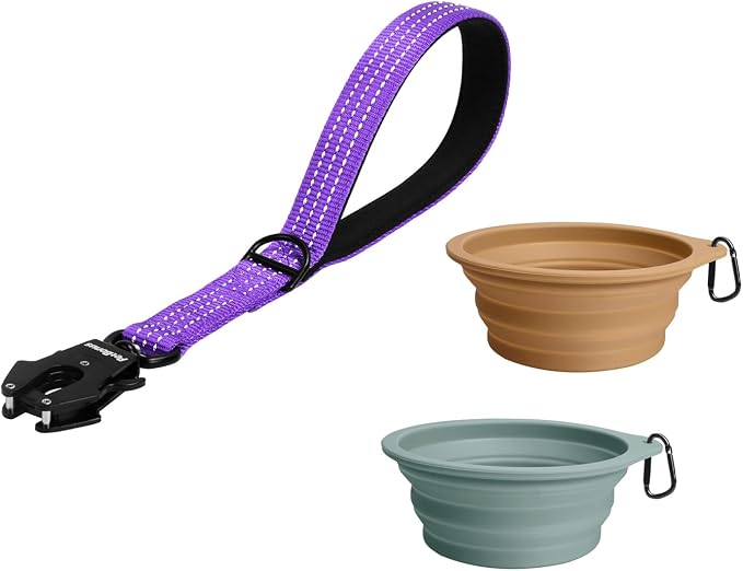 PetBonus Heavy Duty 12 Inch Short Dog Leash and 2-Pack Large Silicone Collapsible Dog Bowls