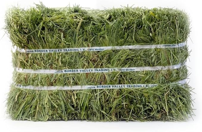 Border Valley Timothy Hay Bale in Bag, 40 lb - High Fiber Grass Hay for Rabbits, Guinea Pigs, Chinchillas, Tortoises, Horses and Livestock - Classic Coarse Grass Hay, Farm-to-Home Freshness