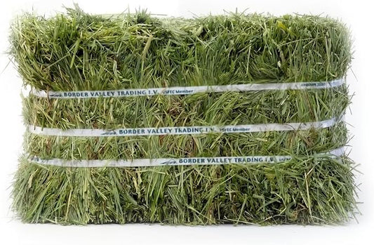 Border Valley Timothy Hay Bale in Bag, 40 lb - High Fiber Grass Hay for Rabbits, Guinea Pigs, Chinchillas, Tortoises, Horses and Livestock - Classic Coarse Grass Hay, Farm-to-Home Freshness