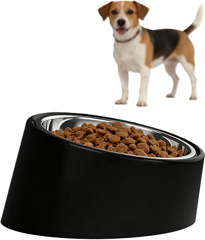 15° Tilted Dog Bowl for Medium Breeds – Non-Slip No-Spill Stainless Steel Pet Feeder, Detachable 2-in-1 Food & Water Dish for French Bulldog & Cats, Anti-Choke, Black (Size M, 350ml)