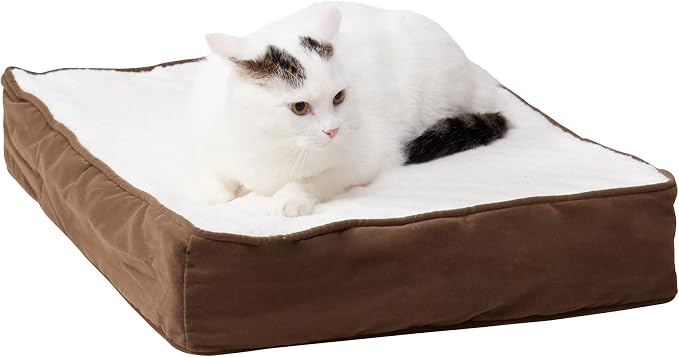 Happy Hounds Bella Orthopedic Rectangle Cat Bed, Latte