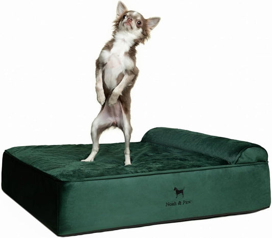 NOAH & PAW Dog Bed, 28x23x7.5 Inch, Orthopedic Dog Beds for Medium Size Pets, Eggshell Memory Foam Infused with Cooling Gel, Water Resistant, Machine Washable, Includes Inner Cover (Velvet Collection)