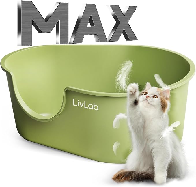 Cat Boxes for Indoor Cats - XL High-Walled Litter Pan with Anti-Splash Design, Low-Entry & Top Entry Cat Litter Box, Tool-Free Assembly Corner Tray (30x20x12 Inch, Green)