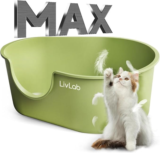 Cat Boxes for Indoor Cats - XL High-Walled Litter Pan with Anti-Splash Design, Low-Entry & Top Entry Cat Litter Box, Tool-Free Assembly Corner Tray (30x20x12 Inch, Green)