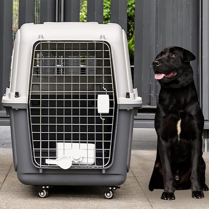 Generic Cats & Rabbit Animal Carrier Travel Cage Box Length 33in/Width 21.6in/Height 25.2in with Handle & Metal Door Portable Transporter Box for Indoor Outdoor Puppies Kittens