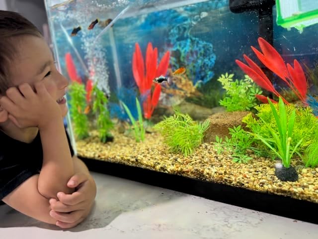 EcoBio-Block Natural Volcanic Rock for Aquarium Water Clarity & Balance — Low-Maintenance Alternative to Weekly Additives — for Freshwater Fish, Turtles, Shrimp & Frogs (Nano, 0.8-1.5 gal)