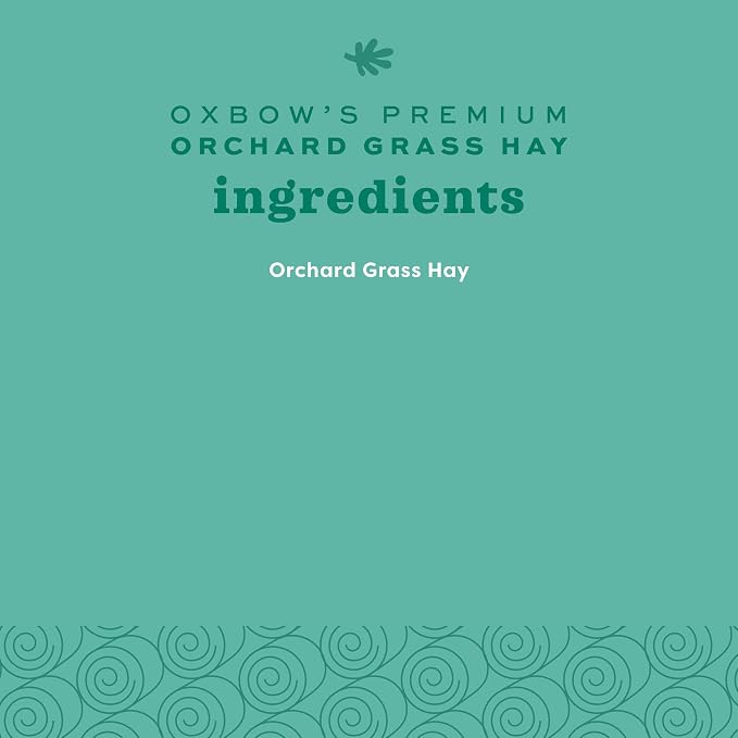 Oxbow Animal Health Orchard Grass, Guinea Pig Hay, Rabbit Hay, Small Pet Bunny Supplies, All Natural Grass for Guinea Pig, Bunny, Chinchilla & Hamster, Oxbow Rabbit Supplies for Bunnies, 9 lb. box