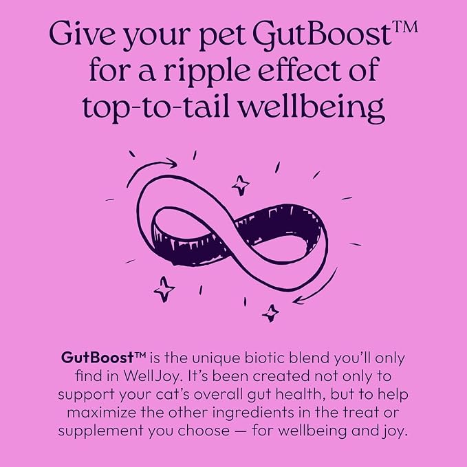 New! WellJoy Cat Supplement Calming+ GutBoost | Cat Health Supplement | Promotes Relaxation & Calmness | Dual-Benefit GutBoost Formulation | Vet Formulated | USA Made | Chicken Flavor | 90 Soft Chews