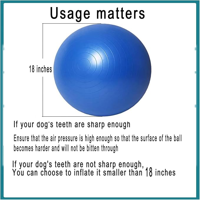 mwater Dogs Herding Ball Large (19inches)