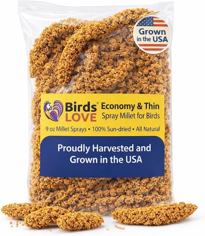 9 oz Spray Millet for Birds – GMO-Free, No Stems (Only Edible Tops) – 100% Natural Sun-Dried Foraging Treat for Cockatiels, Lovebirds, Parakeets, Finches & Canaries