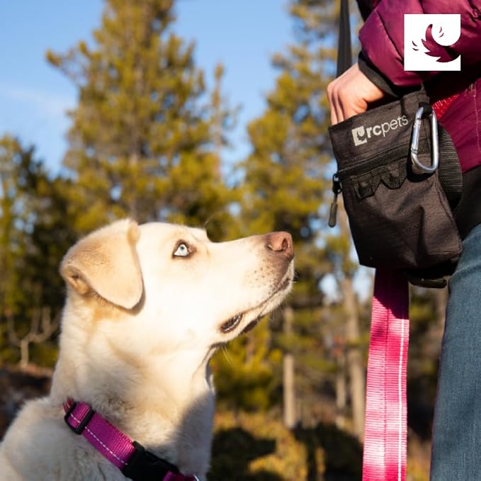 RC Pets Quick Grab Treat Bag | Compact & Convenient (Heather Azalea)