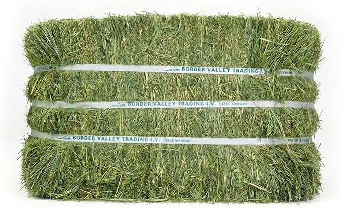 Border Valley Teff Grass Hay Bales, 40 lb - Soft Fine Stem Hay for Rabbits, Guinea Pigs, Chinchillas, Tortoises, Horses and Livestock - High Fiber Grass Bales, Farm-to-Home Freshness