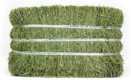 Border Valley Teff Grass Hay Bales, 40 lb - Soft Fine Stem Hay for Rabbits, Guinea Pigs, Chinchillas, Tortoises, Horses and Livestock - High Fiber Grass Bales, Farm-to-Home Freshness