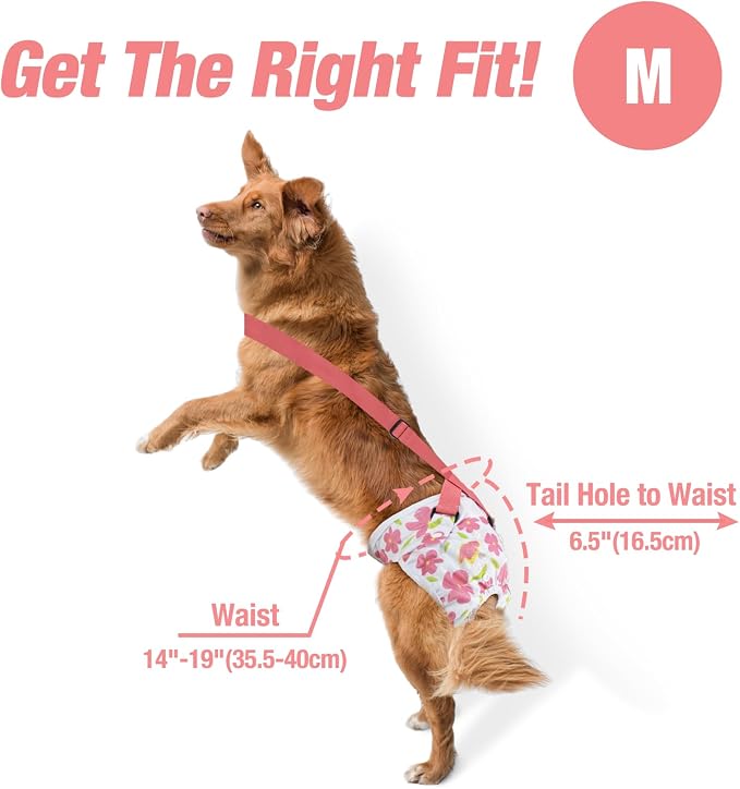 Pet Soft Dog Diapers Female with Suspenders, 3 Pack Reusable Female Dog Diapers for Heat, Dog Period Panties for Doggie in Cycle(Medium, Flowers)