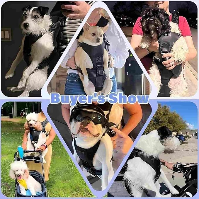 YUDODO Front Pet Carrier Backpack for Small Dogs, Secure and Breathable Mesh Travel Dog Carrier with Safety Belt, Ergonomic Support, Adjustable for Walking, Hiking (Black, M)