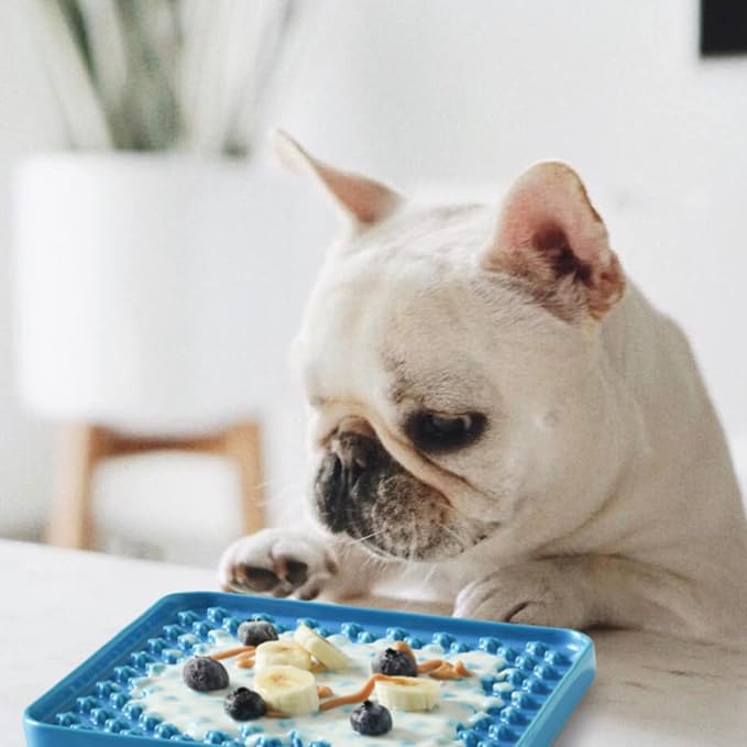 LE TAUCI PET Slow Feeder Dog Bowl, 7.5 Inch Lick Mat for Medium and Large Breed, Anxiety Relief Licking Mat, Puzzle Feeder for Peanut Butter, Treats, Pet Enrichment Toys, Cross Blue