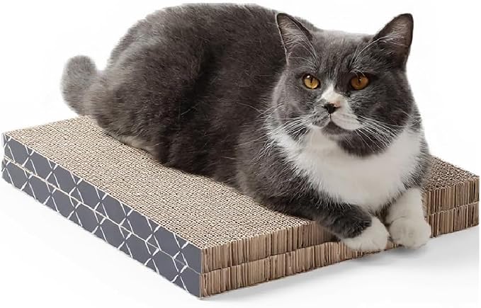 2X Hide & Scratch Cat Scratcher Boxes Plus 2 Scratch Pad Refills