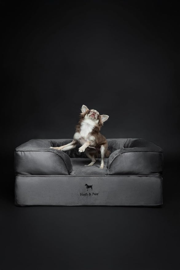 NOAH & PAW Dog Bed, 28x23x11 Inch, Orthopedic Dog Beds for Medium Size Pets, Eggshell Memory Foam Infused with Cooling Gel, Inner Cover, Water Resistant, Machine Washable (Velvet Sofa Collection)