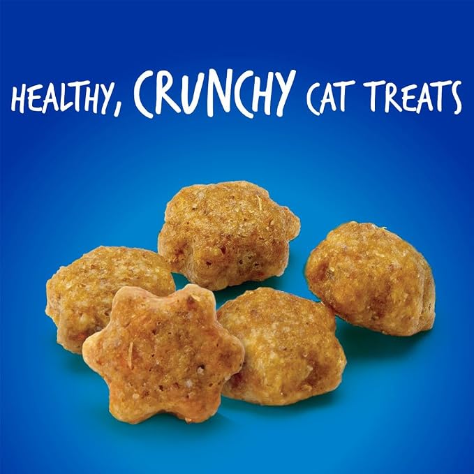 Fruitables Crunchy Low Calorie Treats Packed with Protein for Cats Healthy Free of Wheat, Corn and Soy – Made with Real Chicken with Blueberry – 2.5 Ounces (Pack of 2)