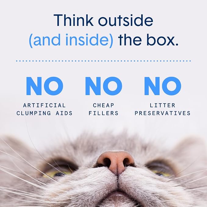 Boxiecat Cat Litter, Clumping, 32lbs, Gently Scented | 30 Day Odor Control | Clay | 2 Pack