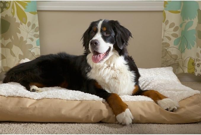 Furhaven Pillow Dog Bed for Medium/Small Dogs w/ Removable Washable Cover - Ultra Plush Faux Fur & Suede Mattress - Chocolate, Medium