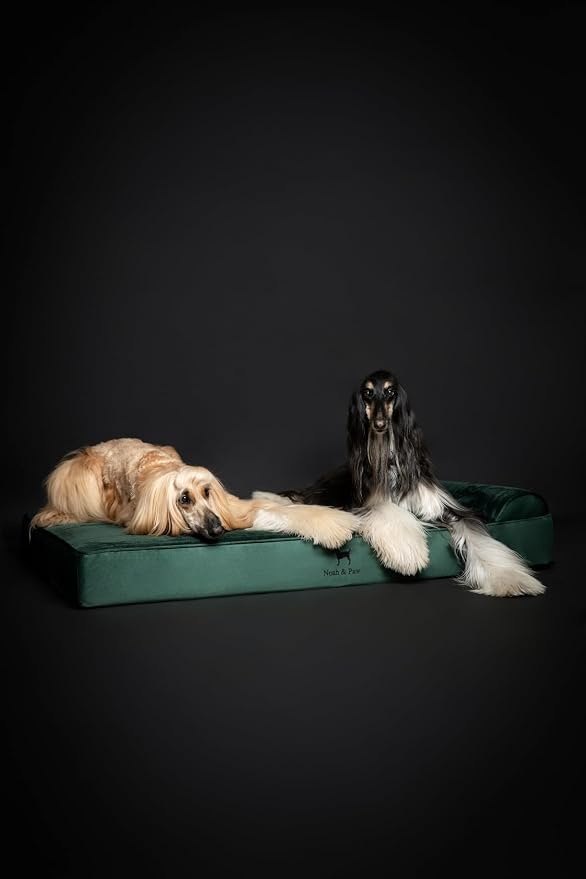 NOAH & PAW Giant Dog Bed XXL 55x45x9.5 Inch, Orthopedic Dog Beds, Eggshell Memory Foam Infused with Cooling Gel, Water Resistant, Machine Washable, Includes Inner Cover (Velvet Collection)