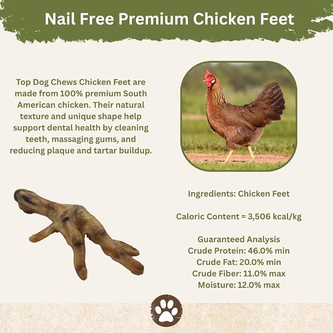 Top Dog Chews Dehydrated Chicken Feet for Dogs (100) – All Natural, Single Ingredient Dog Treats – Nail Free, Easily Digestible, Protein Rich, Low in Calories, Supports Joint Health