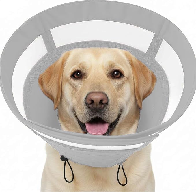 SAWMONG Soft Cone for Dogs – Large Dog Recovery Collar, Adjustable E-Collar to Stop Licking After Surgery (L, Gray)