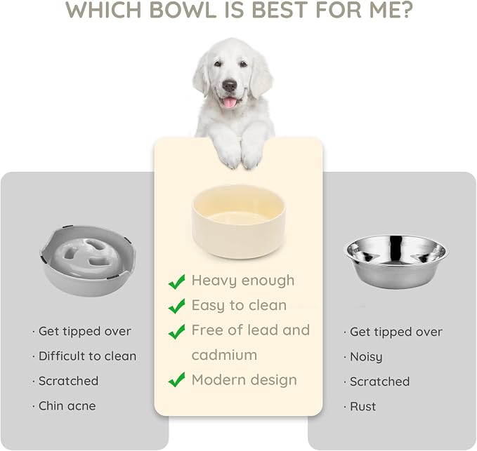 SPUNKYJUNKY 13.5OZ Ceramic Dog and Cat Bowl, Modern Cute Weighted Food Water Bowl for Replacement Beige (2 Pack)