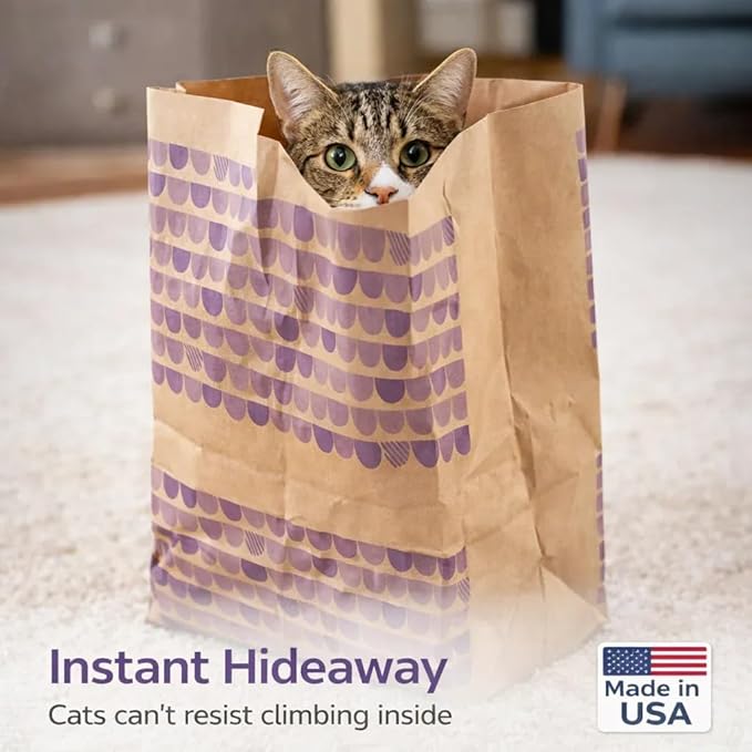 Catnip Infused Crinkly Paper Bag Cat Toys - All Natural & Recycled Materials - Made in USA - Interactive Hide and Seek for Indoor Cats and Kittens - (2-Pack, Catnip)