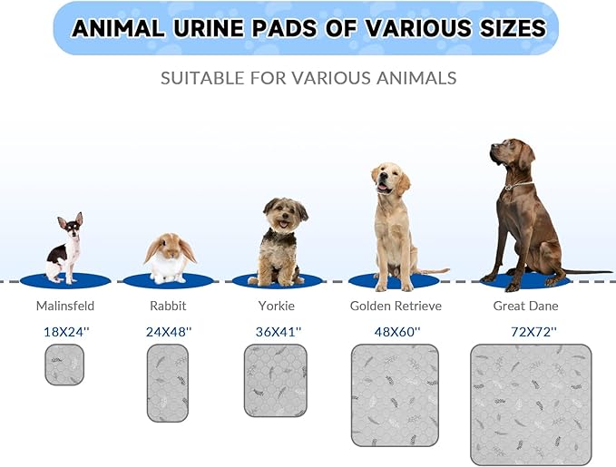 Sunheir Washable Pee Pads for Dogs 2-Pack Reusable Puppy Pads Pet Training Pads, Waterproof Dog Pee Pads for Crate, Whelping Pad, Non-Slip Protects Against Urine Leakage (Leaves - Sky Blue, 24x36)