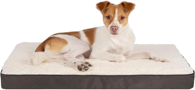 Best Pet Supplies Orthopedic Dog Bed with Memory Foam, Washable Dog Crate Mat for Small, Medium & Large Dogs, Thick Mattress for Crates, Kennels or Floor, Waterproof Pet Bed - Brown, 41 x 29 x 4