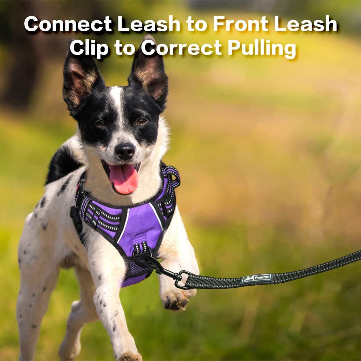 PoyPet No Pull Dog Harness, No Choke Front Clip Reflective Dog Vest with Soft Padded Vertical Handle, 3 Leash Attachments for Small Medium Large Dogs (Purple,XL)