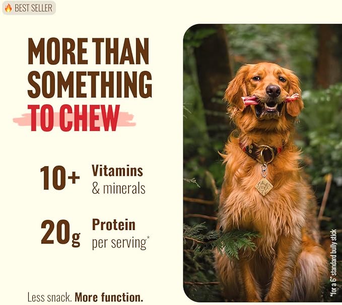 Natural Farm Odor-Free Bully Sticks (6 Inch, 25 count),1.3 lb. Bag, Fully Digestible 100% Beef Pizzle Chews,Grass-Fed, Non-GMO,Grain-Free, Natural Long-Lasting Chews for Small & Large Dogs. Pack of 25
