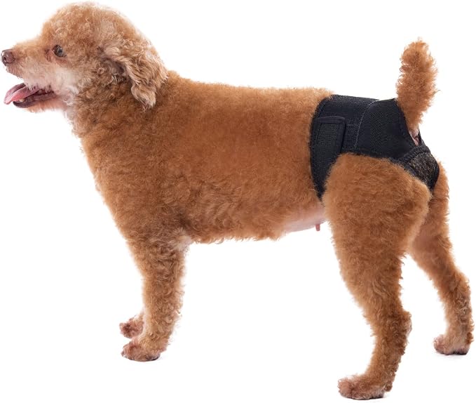 Dog Panties for Dogs in Heat, Reusable Female Dog Pants to Prevent Cross-Tailing. Washable Dog Underwear to Protect Female Dogs from Male Dogs (M, Black)
