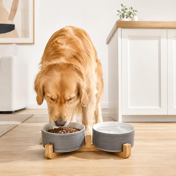 Petygooing Dog Bowls,Ceramic Cat Dog Bowl Set with Wood Stand for Food and Water,Non-Slip Weighted Cute Pet Dish Set for Cats and Medium Size Dogs (28OZ/6.1 in) Grey White