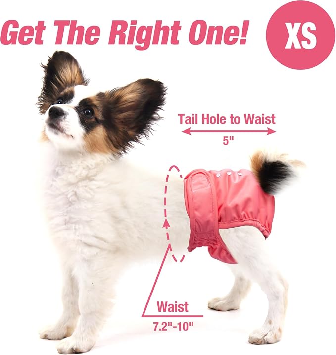 Pet Soft Washable Female Diapers (3 Pack) Female Dog Diapers, Comfort Reusable Doggy Diaper for Girl Dog in Period Heat (Sprightly, XS)