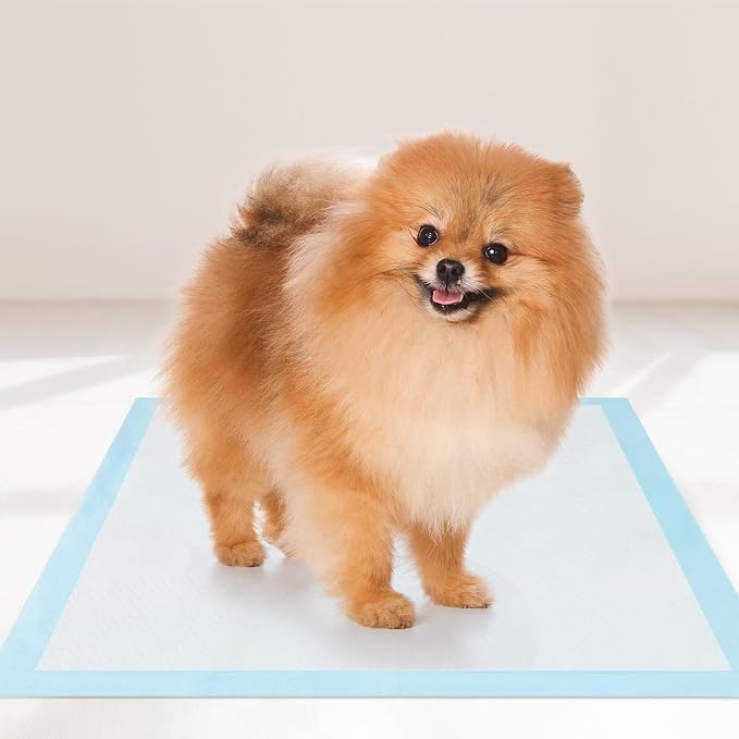 PETSITE Dog and Puppy Pee Pads, 6-Layer Leak-Proof Super Absorbent, Quick-Dry Surface, Indoor Outdoor Disposable Potty Training Pads, Blue & White (18" x 13" (300 Count))