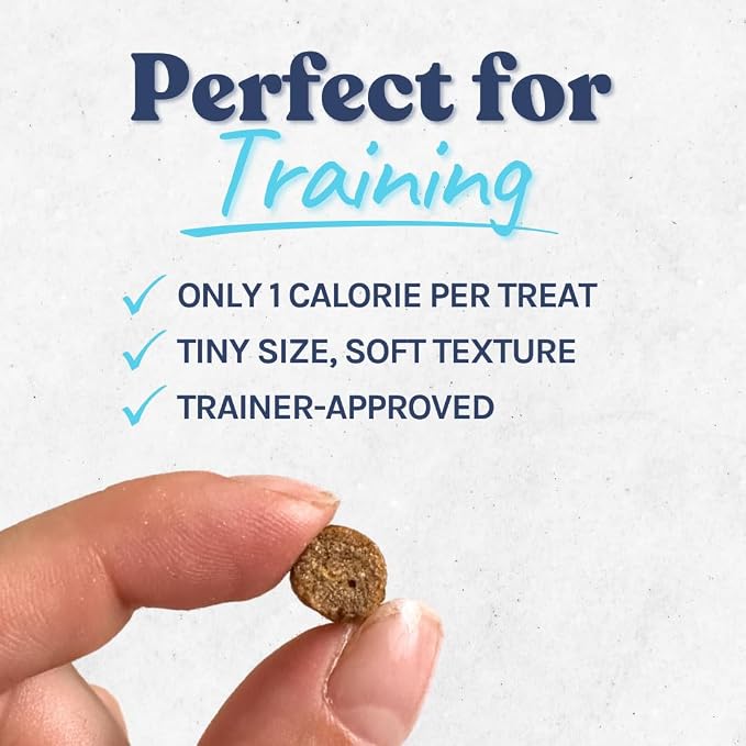 healthybud Mini Dog Training Treats - Beef Liver Soft Trainer Bites, 500+ Bits, 1 kCal per Bite, 6.5oz, Reishi, Lion’s Mane, Salmon Oil, Puppy Chews (3 Pack Beef)