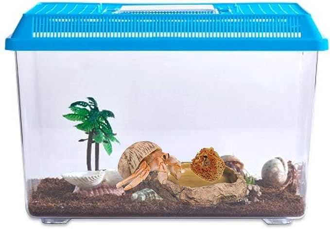 Needzo Hermit Crab Natural Sponge for Water Dish, Drinking and Tank Humidity, Size May Vary, Pack of 25