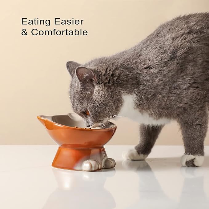 Nihow Elevated Cat/Dog Bowls: 5 Inch Ceramic Raised Cat Food & Water Bowl Set for Protecting Pet's Spine - Feeding & Watering Supplies for Pets - Elegant Brown (4.5 OZ /1 PC)