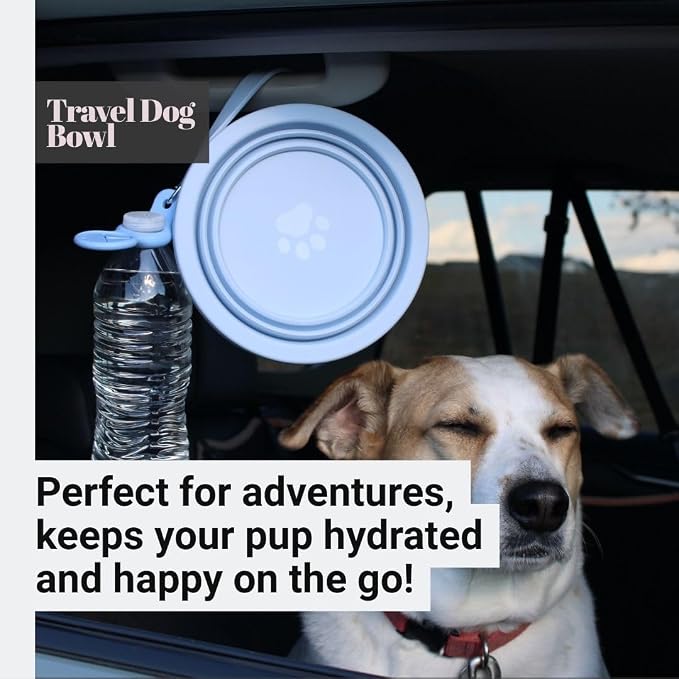 Blue Slow Feeder Travel Dog Bowl Set – 30oz Stainless Steel + 20oz Collapsible Silicone Dish + Silicone Slow Feeder Insert | Water Bottle Holder | Non-Slip, Anti-Choking, BPA-Free – Claim
