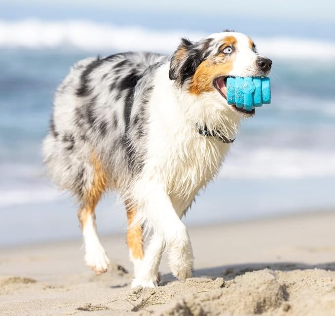 HIVE Parent (Soothing Vanilla, Hive Chew Toy for Large Dogs)